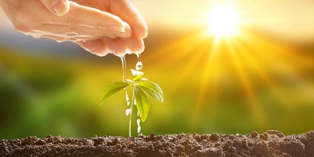 The Land and Expand Sales Model